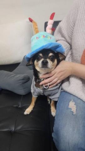 雙雙家 - 一起過生日XD