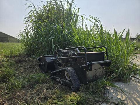 沐倡除草專家 - 