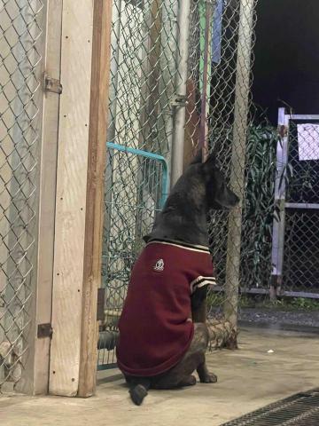 馬衣嫺 - 拍美照