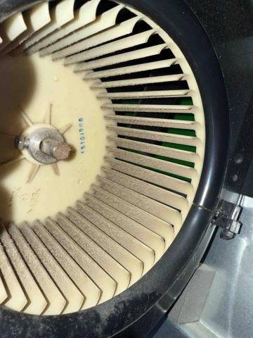 潔立剋 - 清洗前