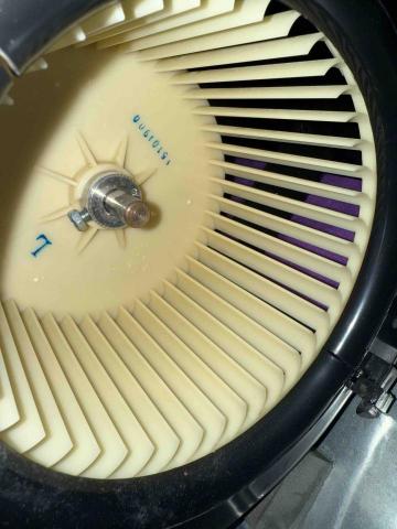 潔立剋 - 清洗後