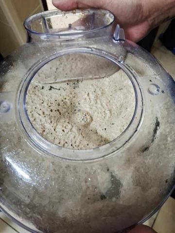 吳宜玲 - 水盆裡的髒污，塵蟎／灰塵／皮屑。