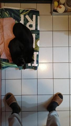 李權達 - 居家清潔