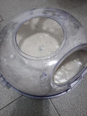 吳宜玲 - 水盆裡的髒污，塵蟎／灰塵／皮屑。