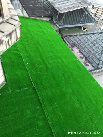 蔡阿杉 - 雨遮加草皮