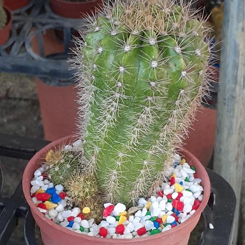 提供工作服台南服務的專家台南律帥法律事務所