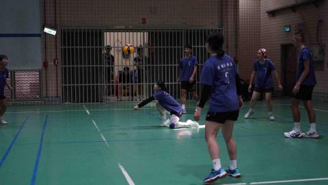 提供612排球服務的專家羅珮甄