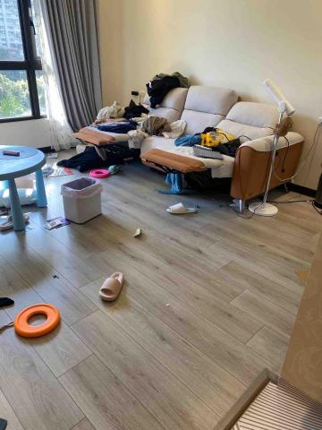 小鳳清潔 - 清潔前