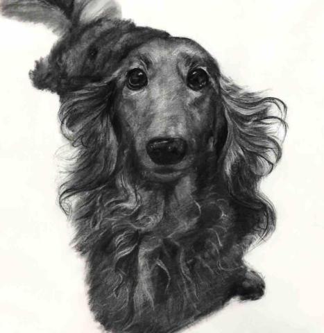 許詠宜 - Yoyo 2024 炭筆 39cm&times;54cm