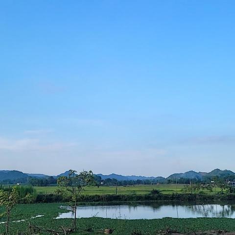 提供冰箱服務的專家徐先生