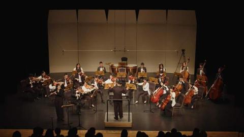 貓裏室內樂集 - 管弦樂團