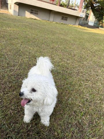 王子暟 - 日常散步行程