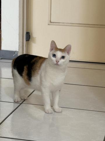 福福 - 麗蓮出來了，好乖好乖