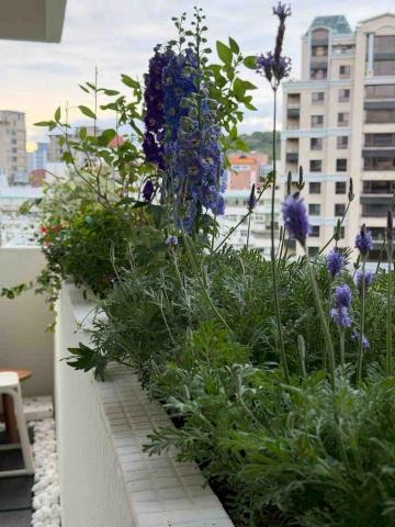 油漆阿國 - 天母案場磁磚改色施工完成