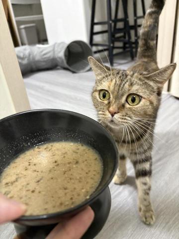 福福 - 親人的湯圓