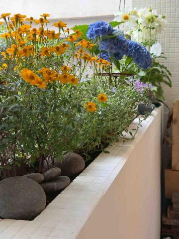 油漆阿國 - 天母案場磁磚改色施工完成