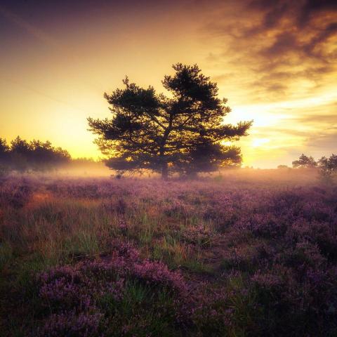 提供88服務的專家麥明瀚