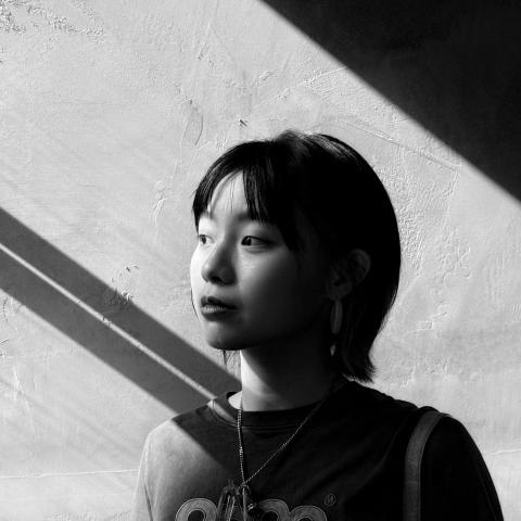 提供wixsite服務的專家Tso