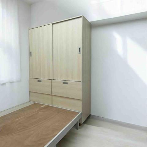 Dsoul_Worker - 大衣櫃（木心板貼皮）
尺寸：
180L*220H*65D(公分）