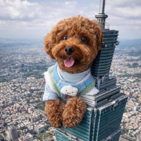 提供遊戲制作服務的專家城