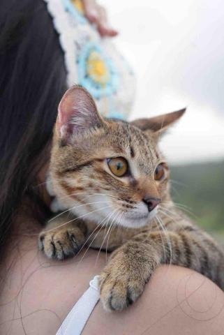 采采（女攝影師）