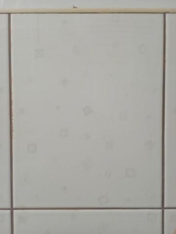 陸啓元 - 磁磚黏補貼