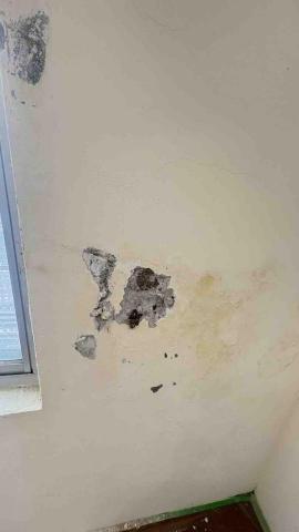 油漆職人阿國 - 台北市吳興街壁癌施工現場