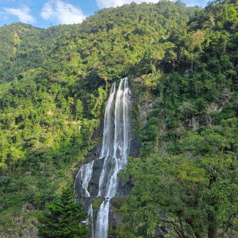 提供刻印鑑章服務的專家黃羽章