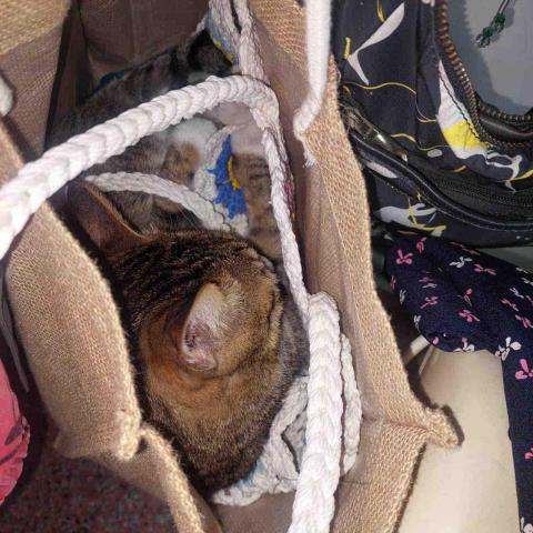 提供和美服務的專家陳志菱