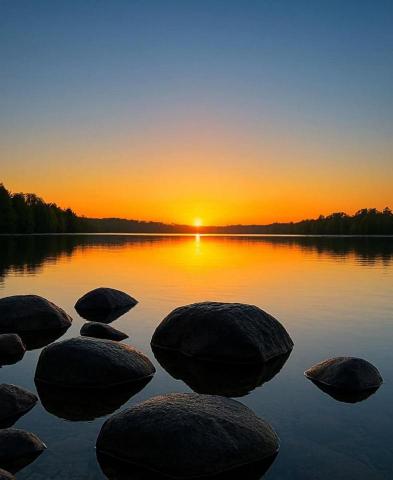 提供收纳箱服務的專家沁遊