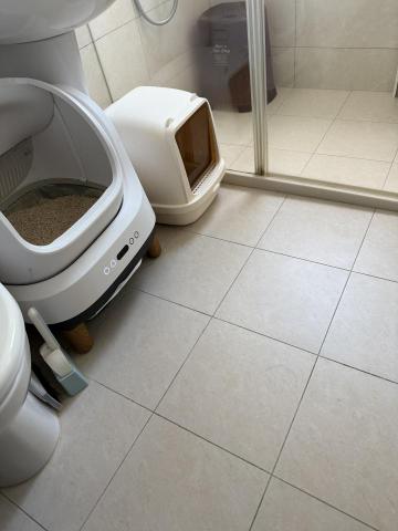 貓保母莎莎 - 環境清潔