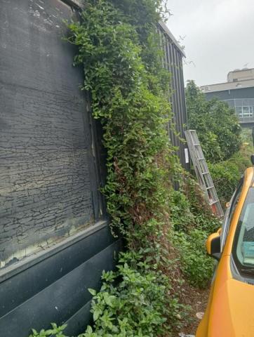 王東明 - 植被摘除前