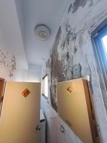 FRP玻璃纖維防水、室內外防水、內外牆油漆、仿石漆、侷限空間 - 彰化室內壁癌處理 處理前