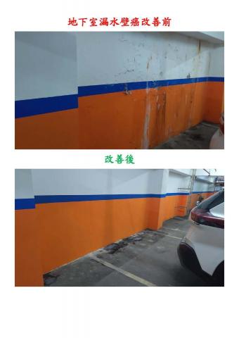 龍哥工程行- - 地下室漏水壁癌換膚改善