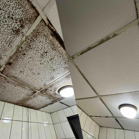 徐文彥 - 浴室天花板深層霉斑