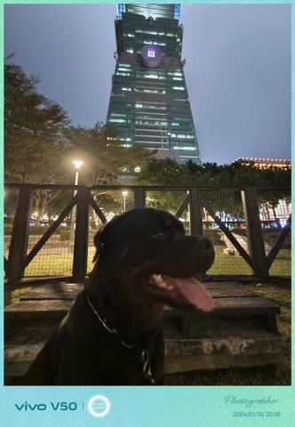 汪管家 Pet Butler｜高端到府照護・行為引導 - 每個夜晚都有不一樣的味道