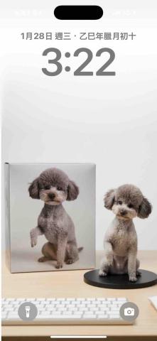 提供按摩spa台中服務的專家霏霏療癒