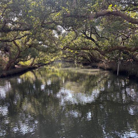 提供0050退休ptt服務的專家黃建明