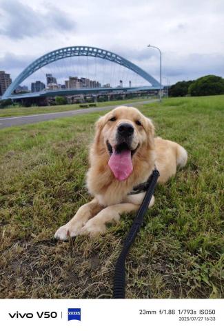 汪管家 Pet Butler｜高端到府照護・行為引導 - 可可愛愛的