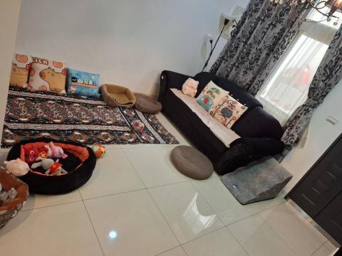 小荳芽毛孩快樂屋 - 