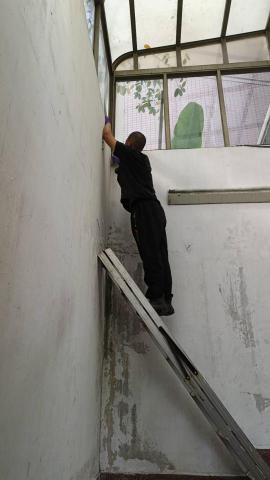 Ms.黃清潔工作室 - 剔除社區內梯間壁癌