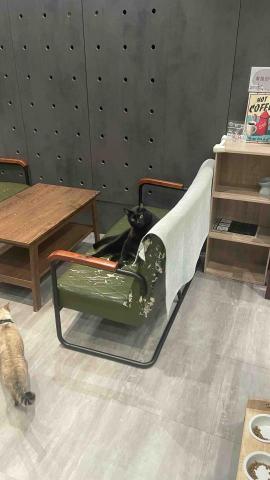 提供數學家教桃園服務的專家YU HSUAN TSENG