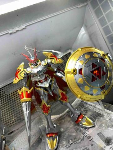 高先生 - 全機電鍍噴塗