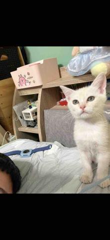 凌晨24小時皆可撥打（大桃園&新竹區）其地區另報價 - 