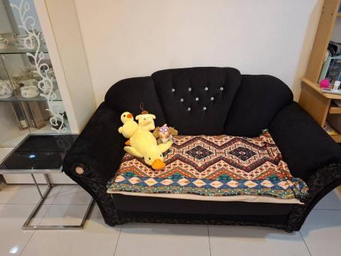 小荳芽毛孩快樂屋 - 