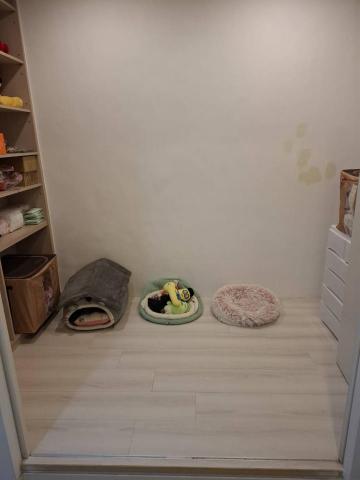 小荳芽毛孩快樂屋 - 