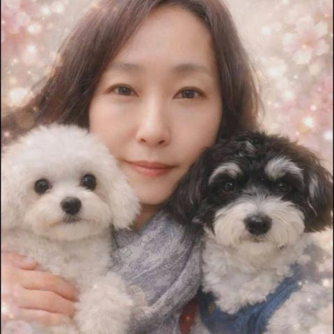 提供毛線球服務的專家小荳芽毛孩快樂屋