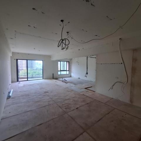 阿信拆除 清運 家具搬運 - 全室天花板，木作隔間，磚牆隔間拆除