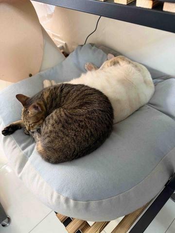 凌晨24小時皆可撥打（大桃園&新竹區）其地區另報價 - 