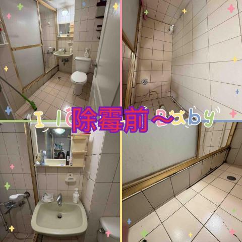 ꧁ 忻ꨄ 承🝮 企業社🝮 ꧂ - 115年2月4日中山除霉前～